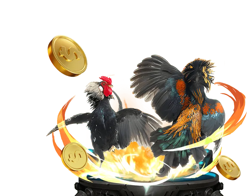 Chiến lược đá gà hiệu quả